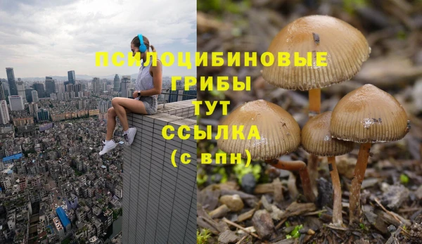 spice Горно-Алтайск