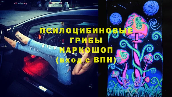 стафф Надым